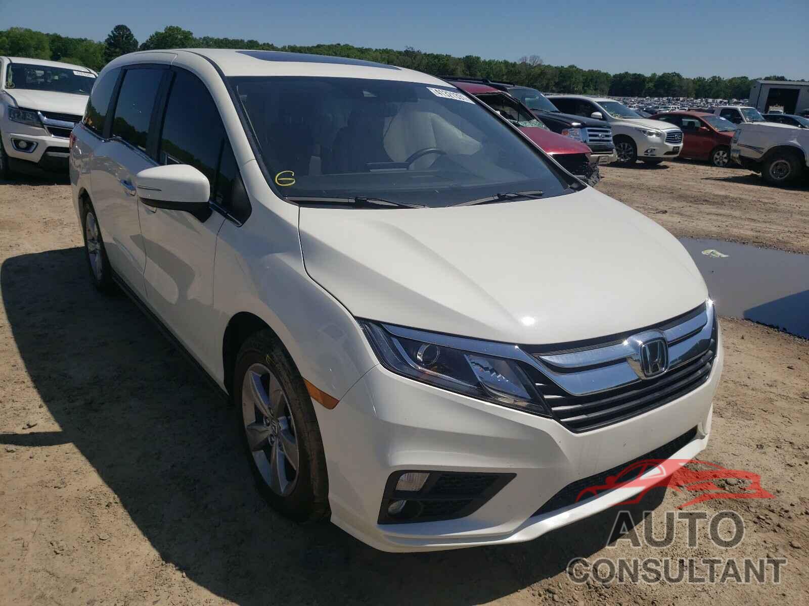 HONDA ODYSSEY 2019 - 5FNRL6H76KB101549