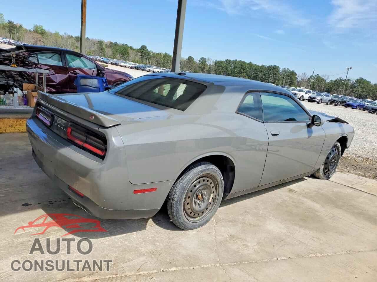 DODGE CHALLENGER 2019 - 2C3CDZGGXKH695132