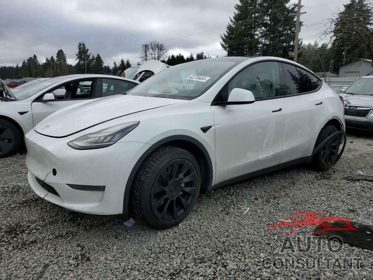 TESLA MODEL Y 2020 - 5YJYGDEE5LF024004