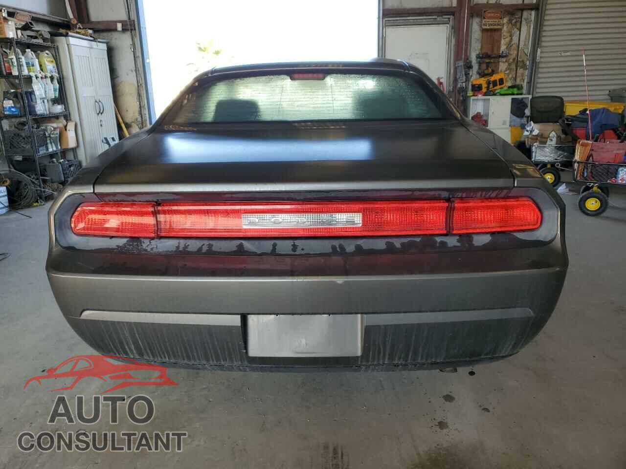 DODGE CHALLENGER 2010 - 2B3CJ4DVXAH166855