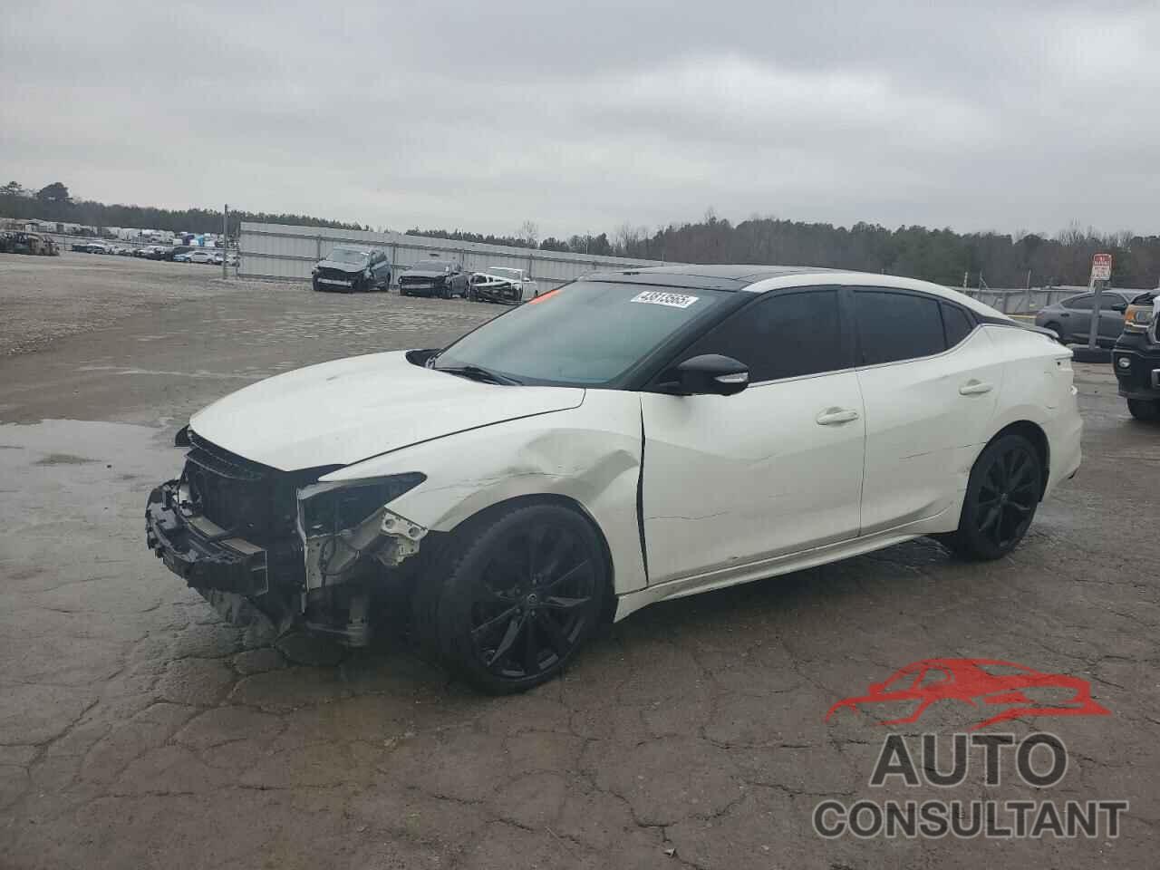 NISSAN MAXIMA 2019 - 1N4AA6AV5KC373153