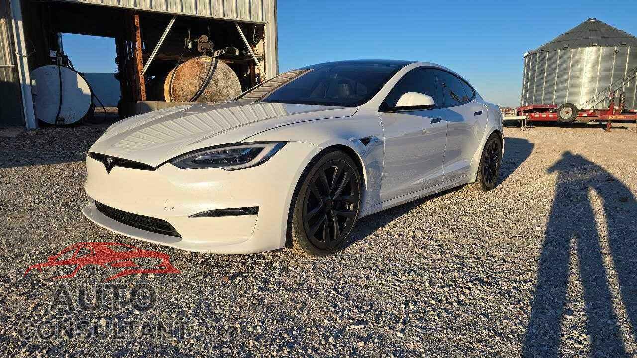 TESLA MODEL S 2021 - 5YJSA1E62MF438292