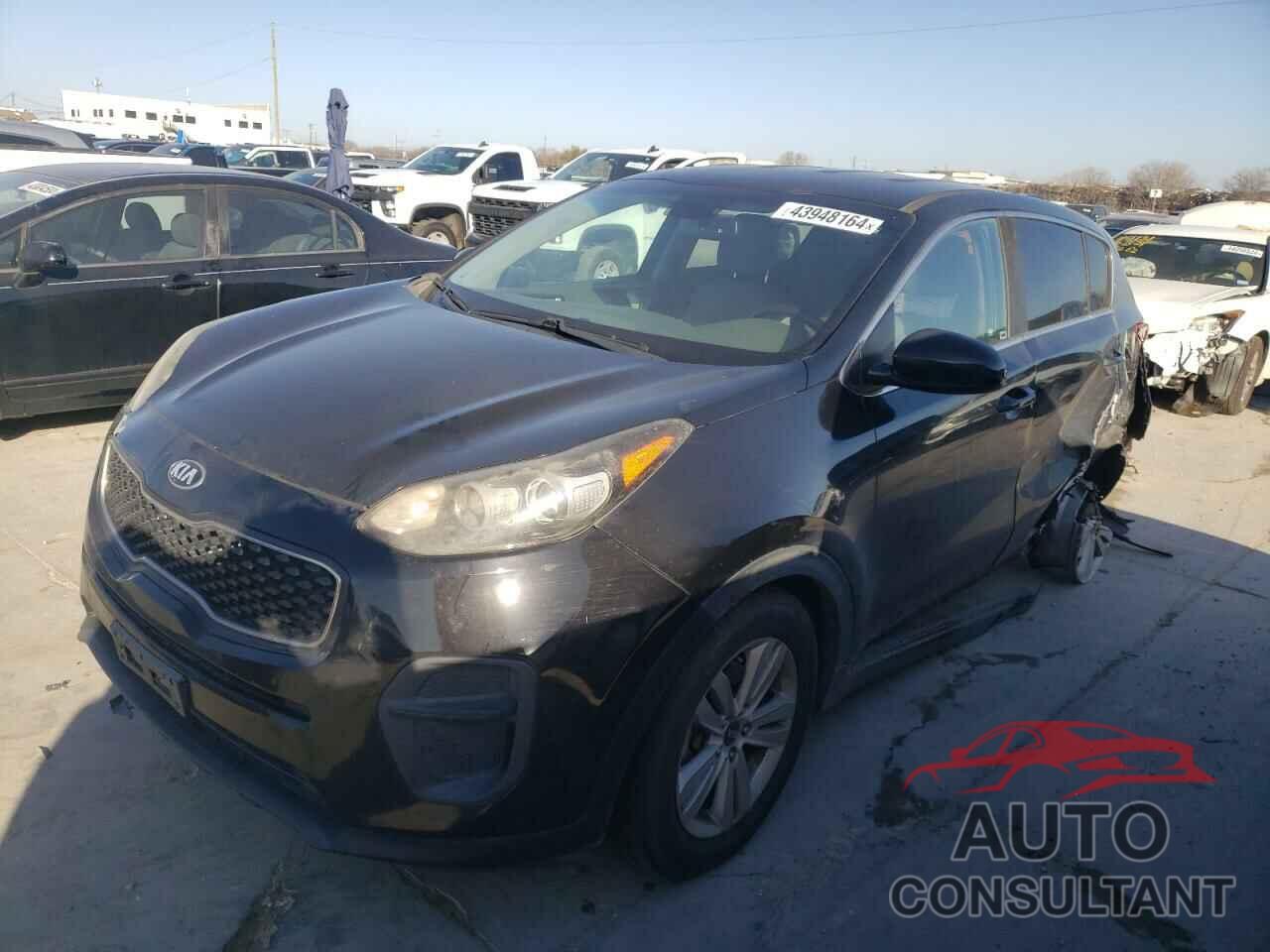 KIA SPORTAGE 2017 - KNDPM3AC6H7225586