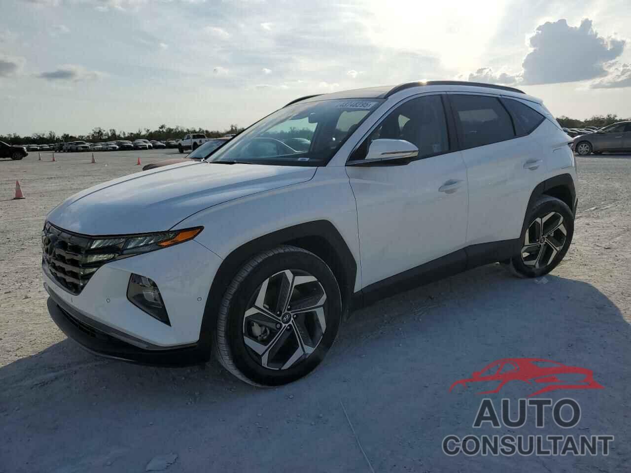 HYUNDAI TUCSON 2024 - 5NMJE3DE7RH415276
