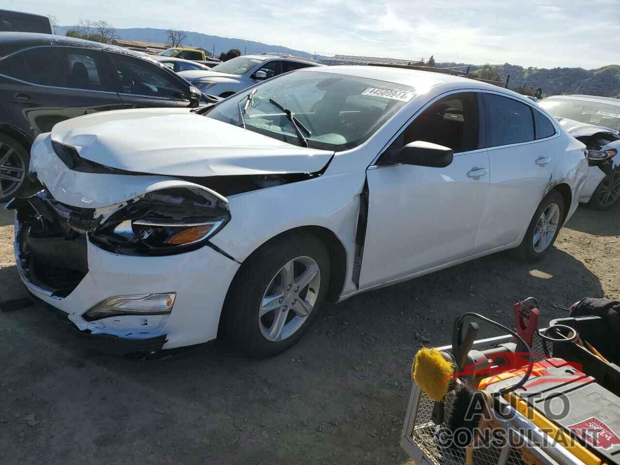 CHEVROLET MALIBU 2019 - 1G1ZB5ST1KF146471