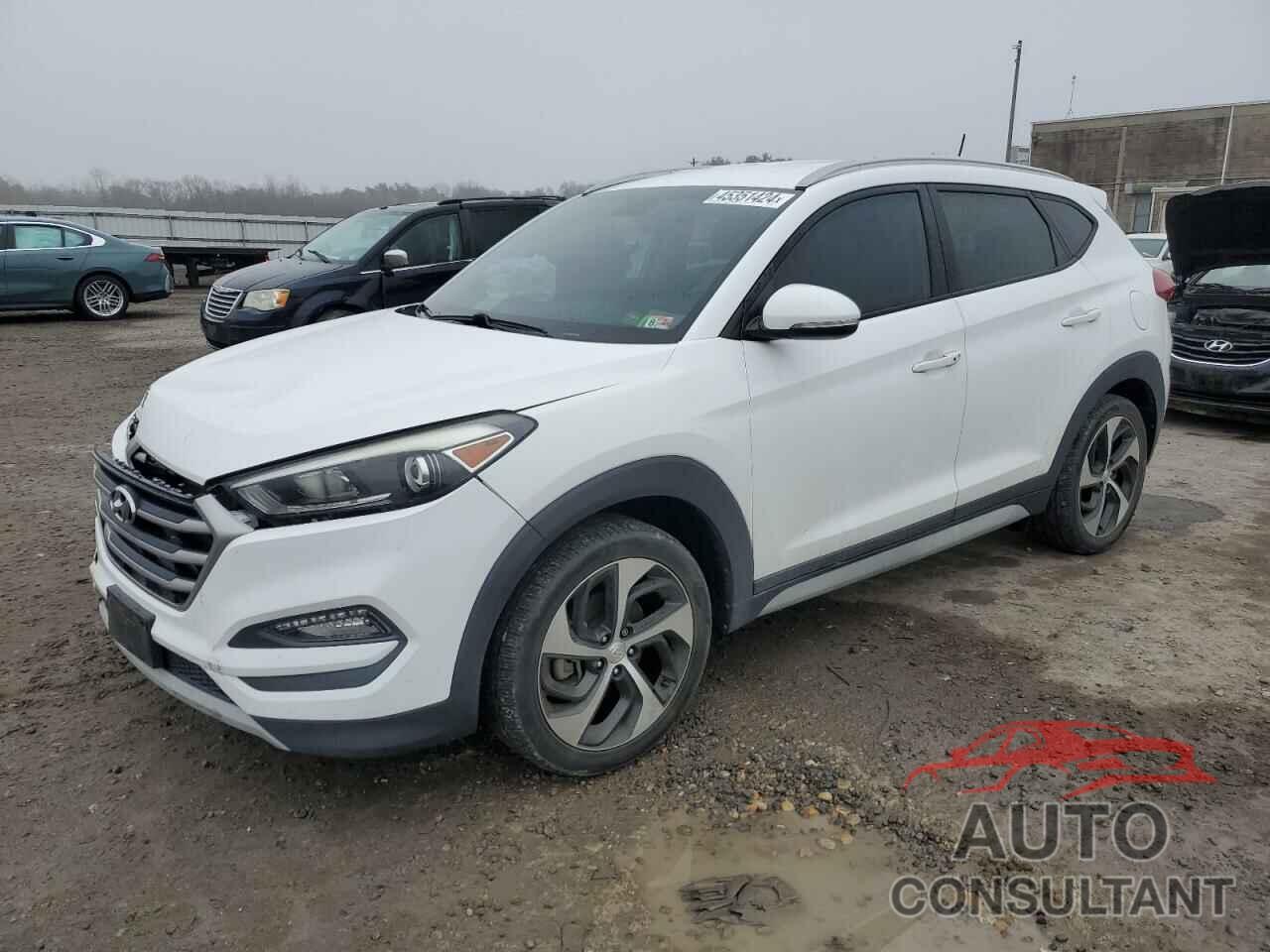 HYUNDAI TUCSON 2017 - KM8J33A20HU369339