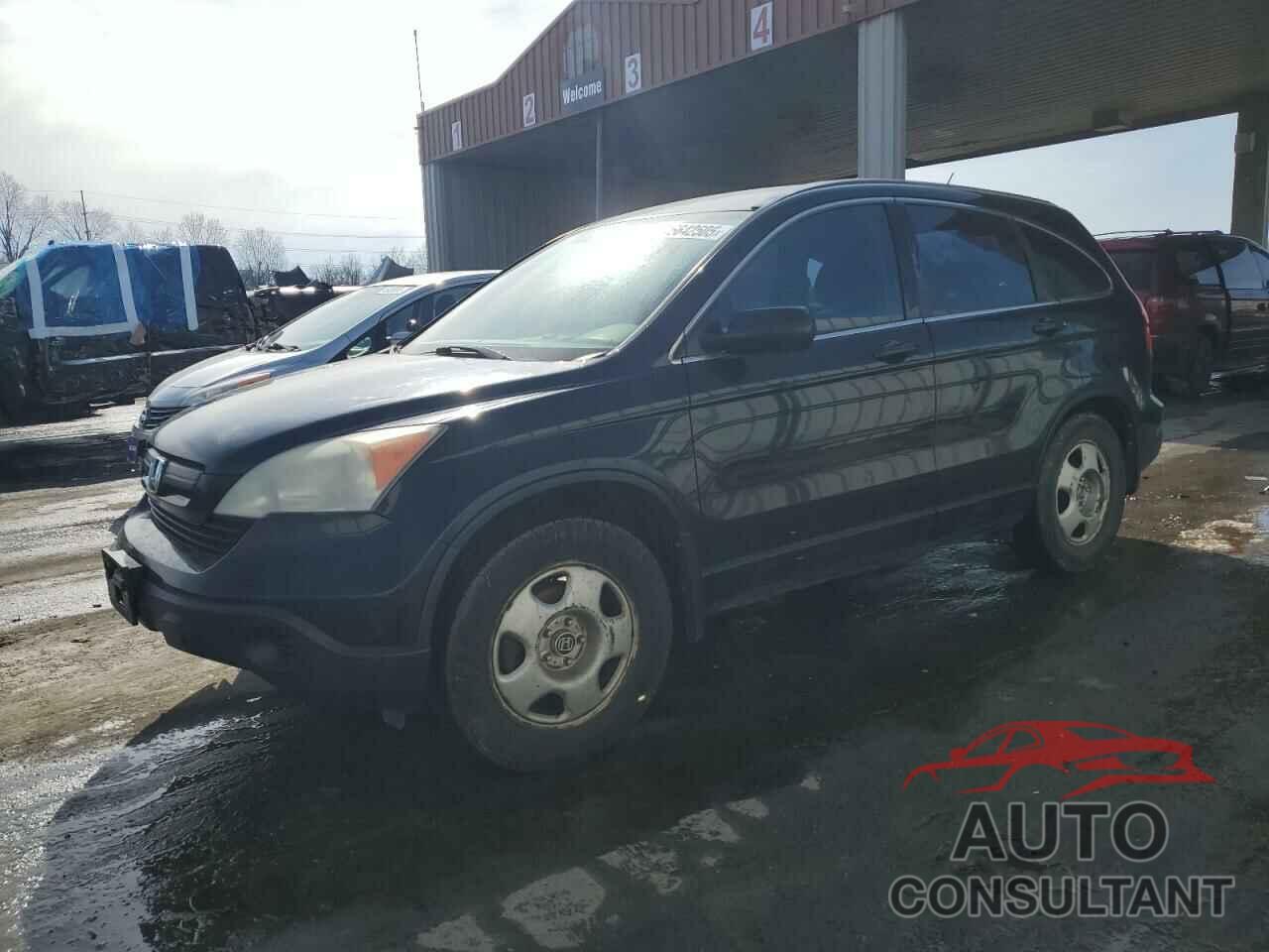 HONDA CRV 2009 - 5J6RE48329L045364