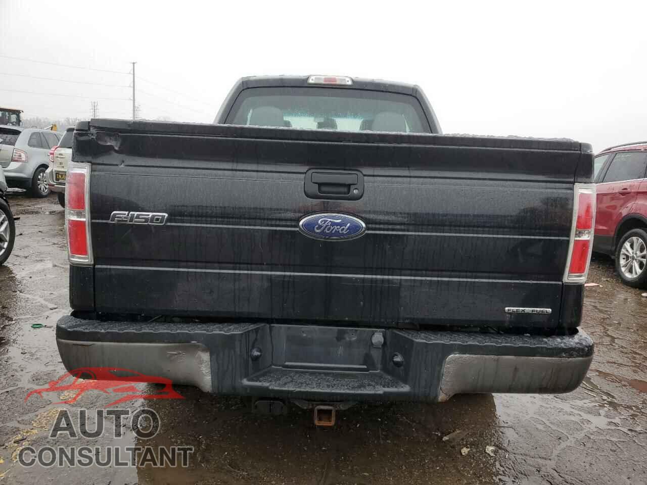 FORD F-150 2013 - 1FTFX1CF1DFA62425