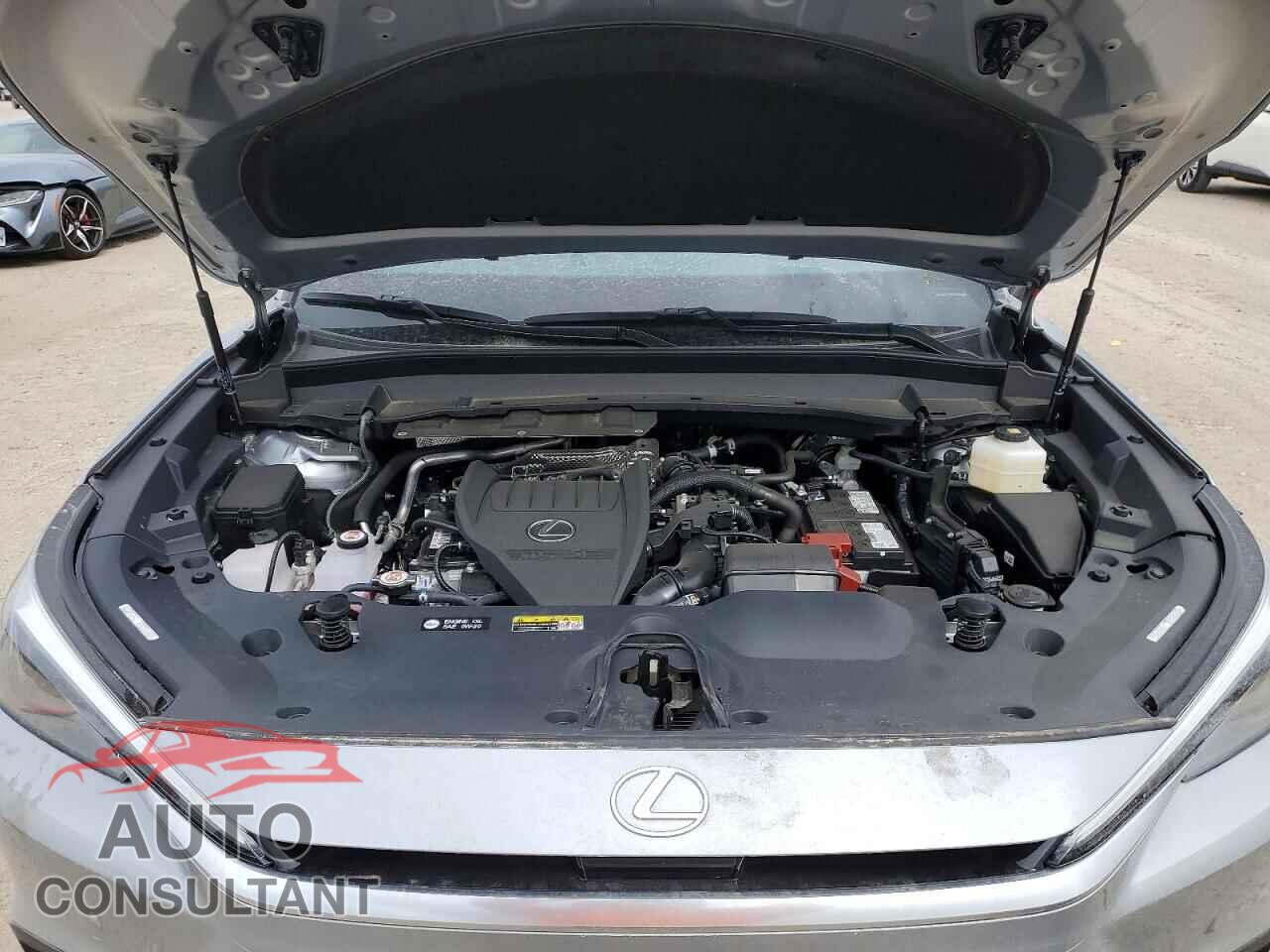 LEXUS UNKNOWN 2026 - 5TDAAAB61TS049265