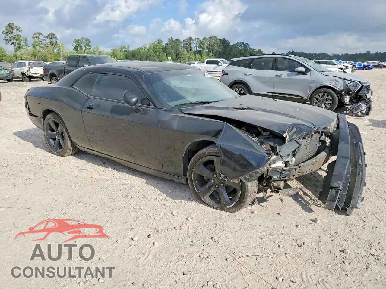 DODGE CHALLENGER 2013 - 2C3CDYAG2DH531153