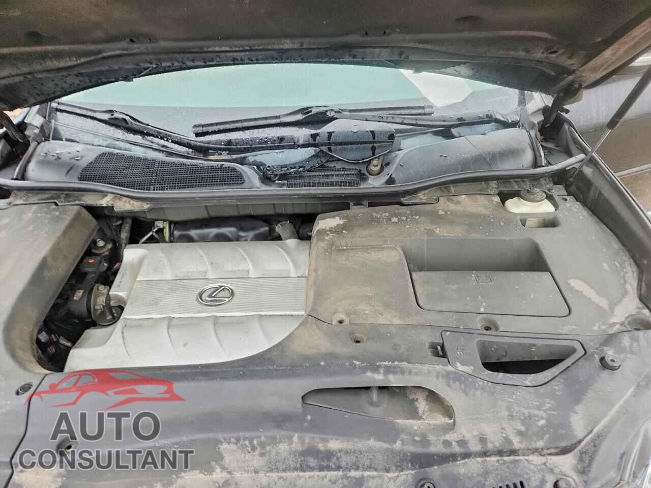LEXUS RX350 2013 - 2T2BK1BA4DC205861