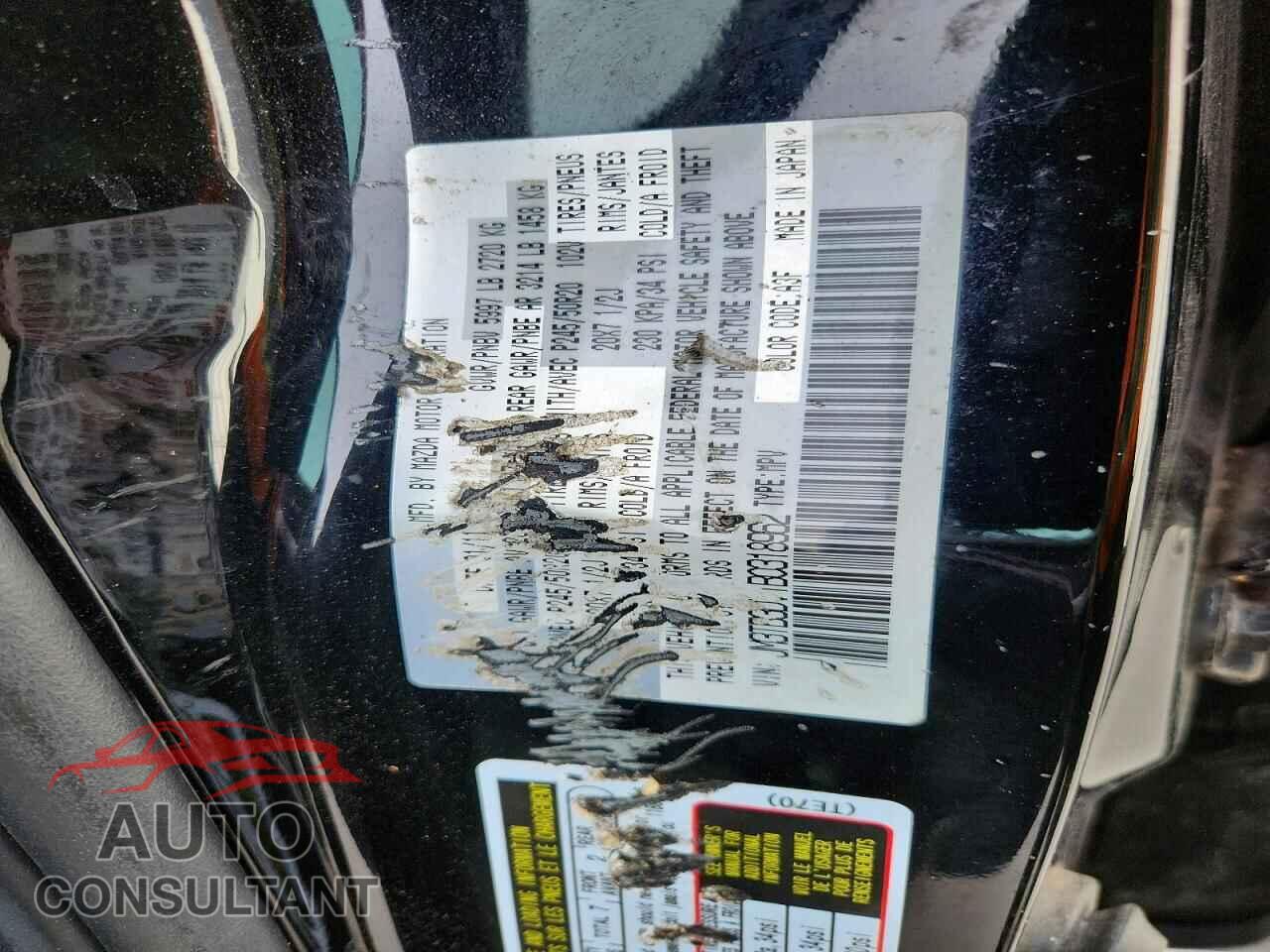 MAZDA CX-9 2011 - JM3TB3DV1B0318962