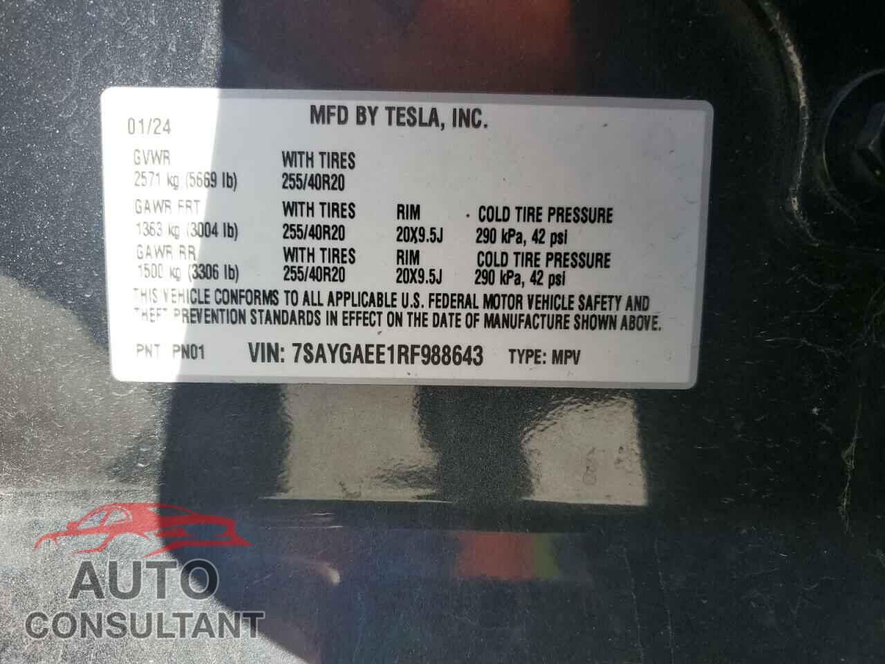 TESLA MODEL Y 2024 - 7SAYGAEE1RF988643