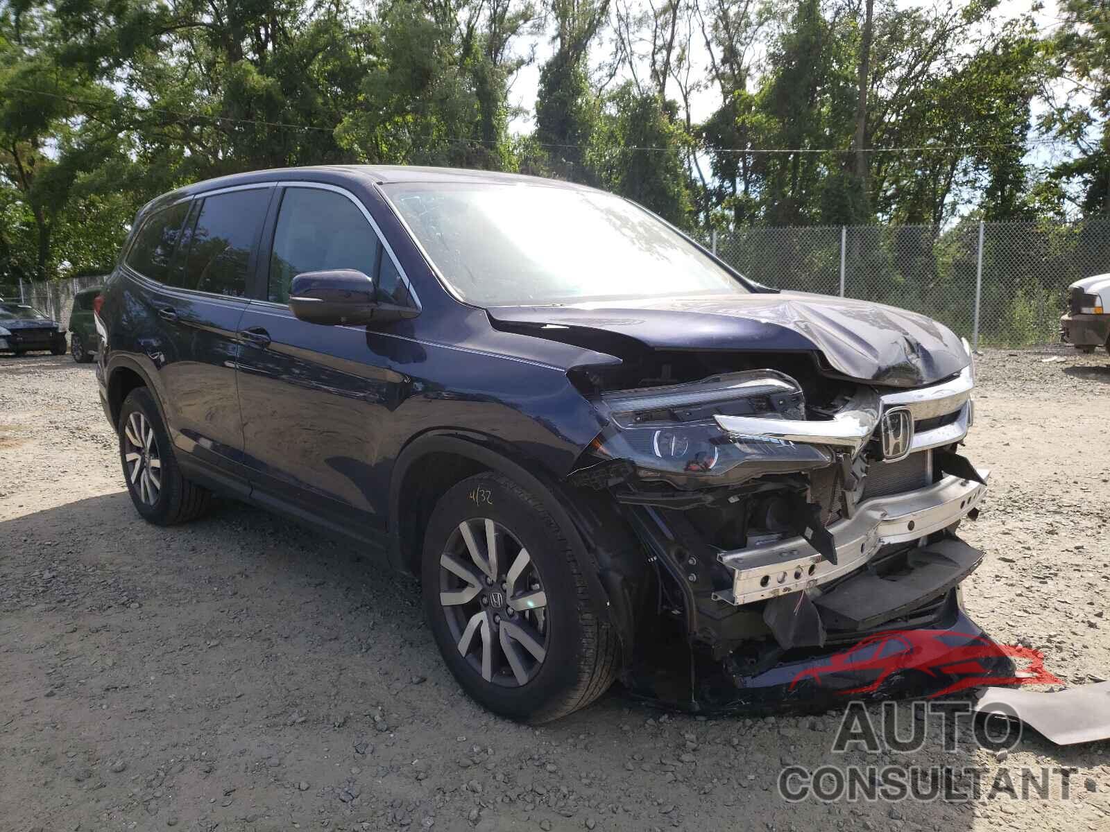 HONDA PILOT 2019 - 5FNYF6H36KB077771