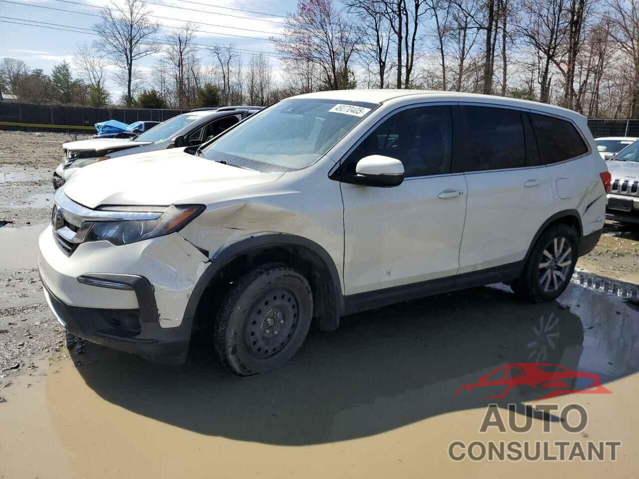 HONDA PILOT 2019 - 5FNYF5H36KB019797