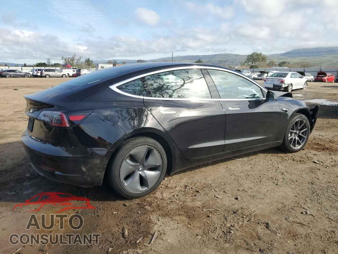 TESLA MODEL 3 2019 - 5YJ3E1EA3KF399335