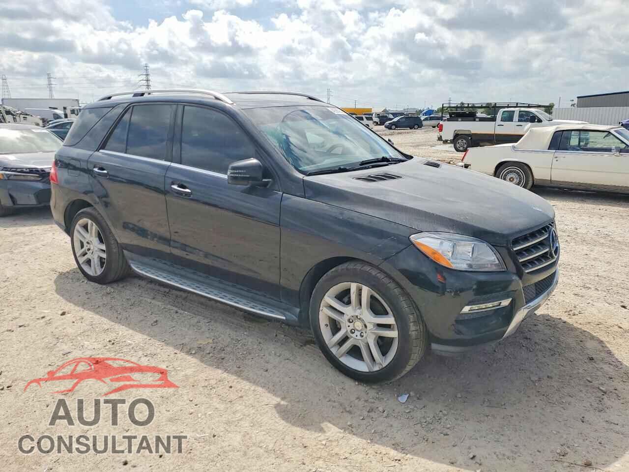 MERCEDES-BENZ M-CLASS 2014 - 4JGDA5JB5EA334792