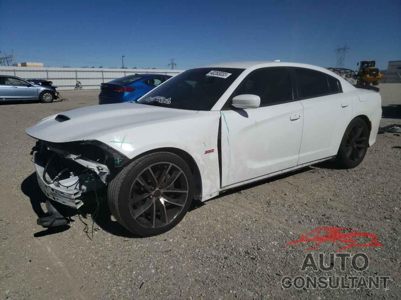DODGE CHARGER 2018 - 2C3CDXGJ2JH195190