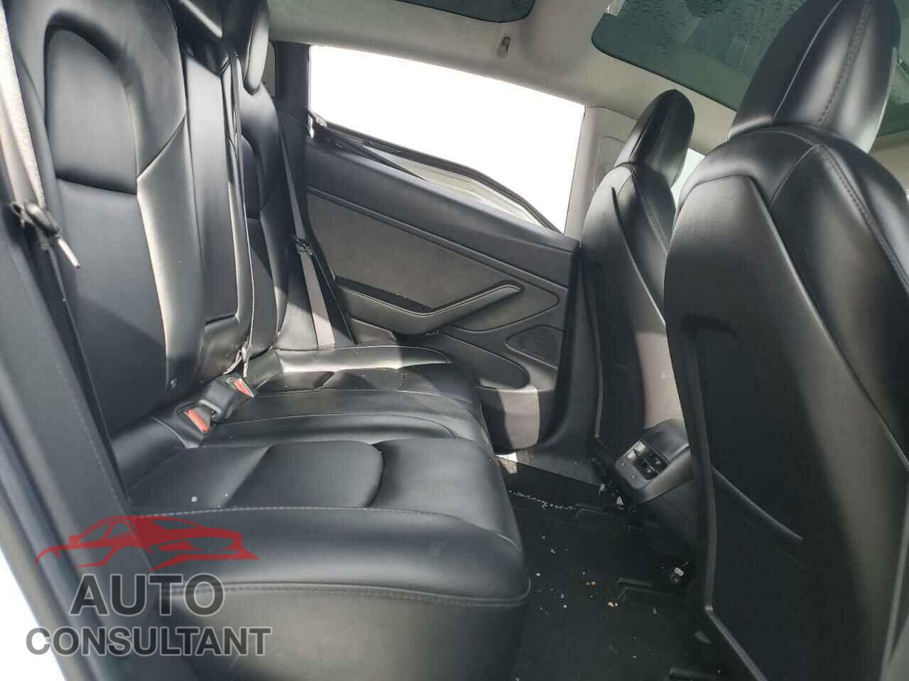 TESLA MODEL 3 2019 - 5YJ3E1EA9KF504086