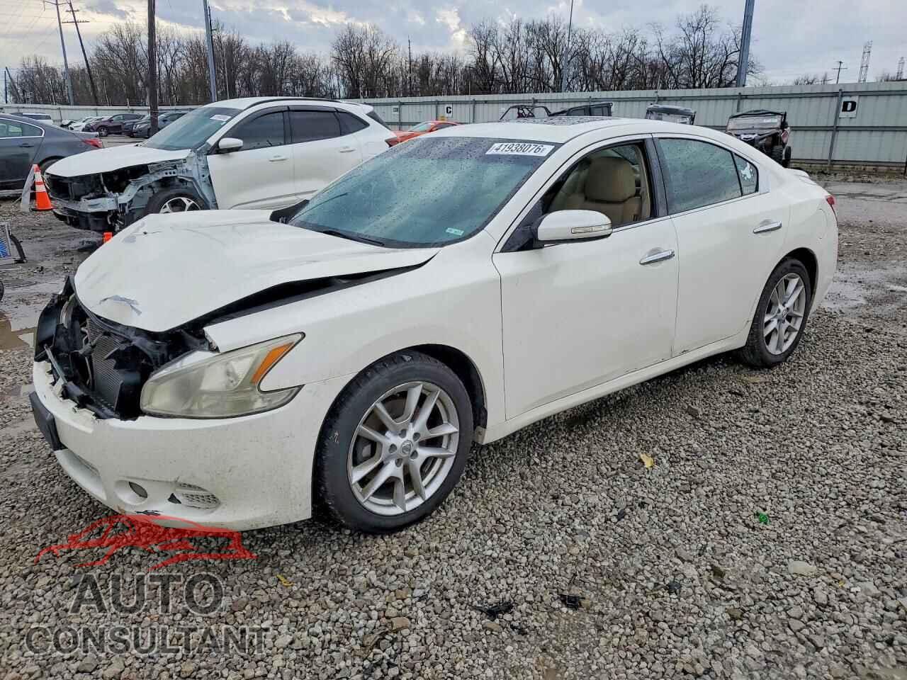 NISSAN MAXIMA 2011 - 1N4AA5AP1BC846154