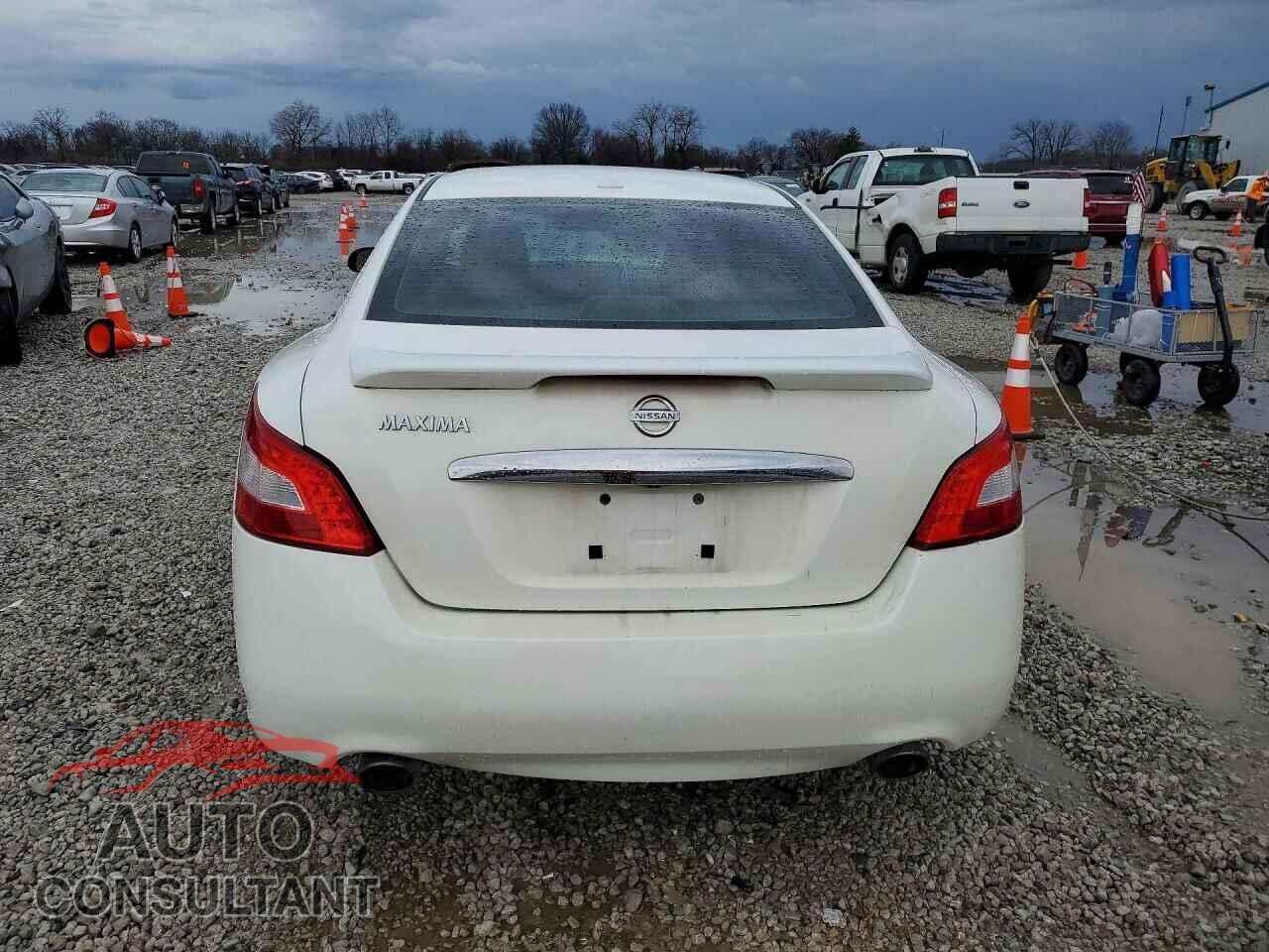 NISSAN MAXIMA 2011 - 1N4AA5AP1BC846154