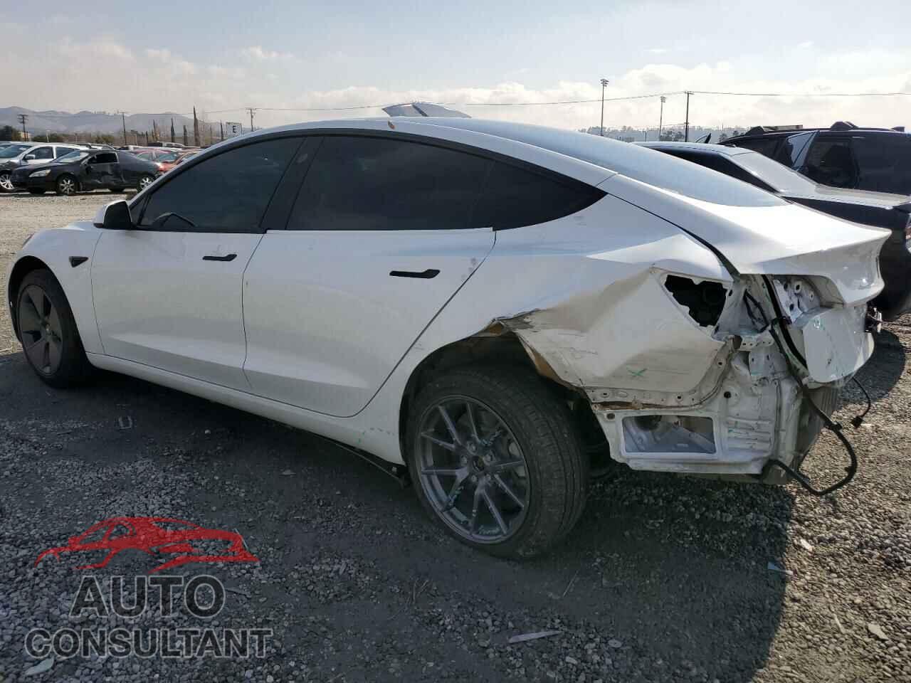 TESLA MODEL 3 2021 - 5YJ3E1EA4MF096065