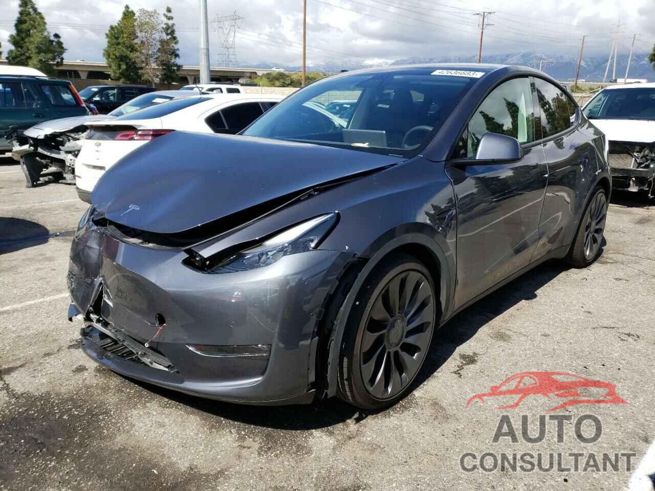 TESLA MODEL Y 2022 - 7SAYGDEF4NF401937