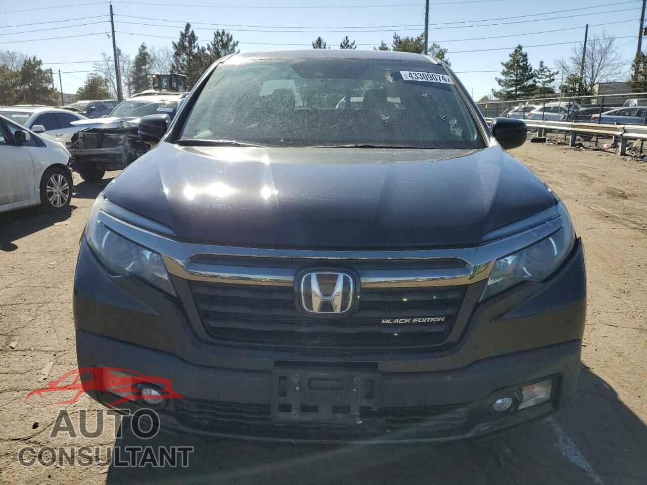 HONDA RIDGELINE 2019 - 5FPYK3F82KB042421