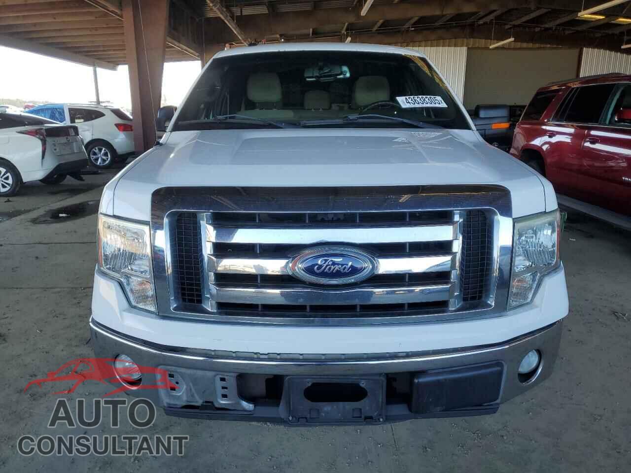 FORD F-150 2011 - 1FTFX1CF2BFD40181