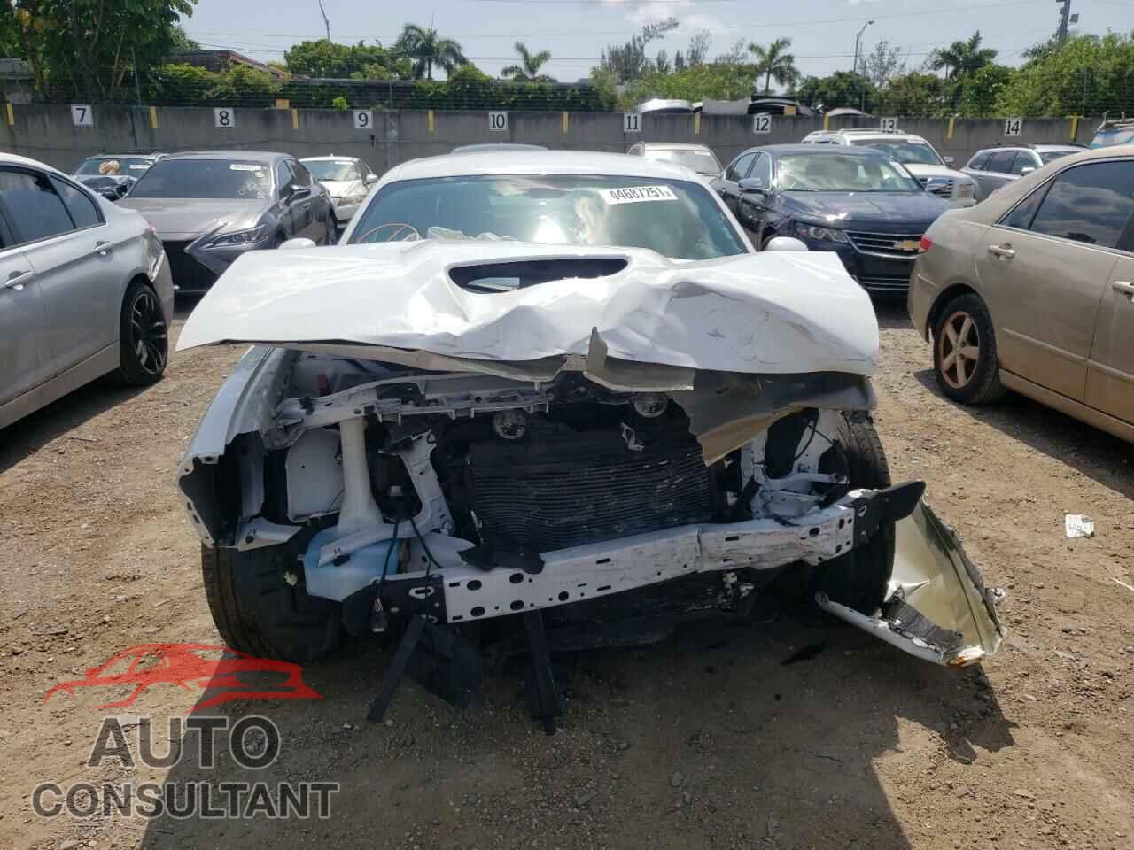 DODGE CHALLENGER 2019 - 2C3CDZBT1KH632280