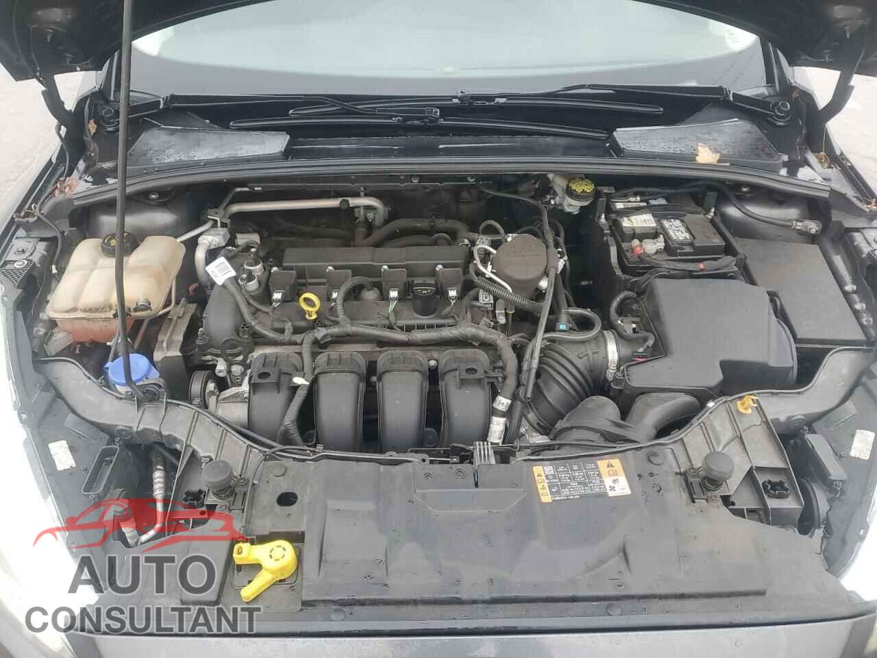 FORD FOCUS 2016 - 1FADP3F2XGL308055