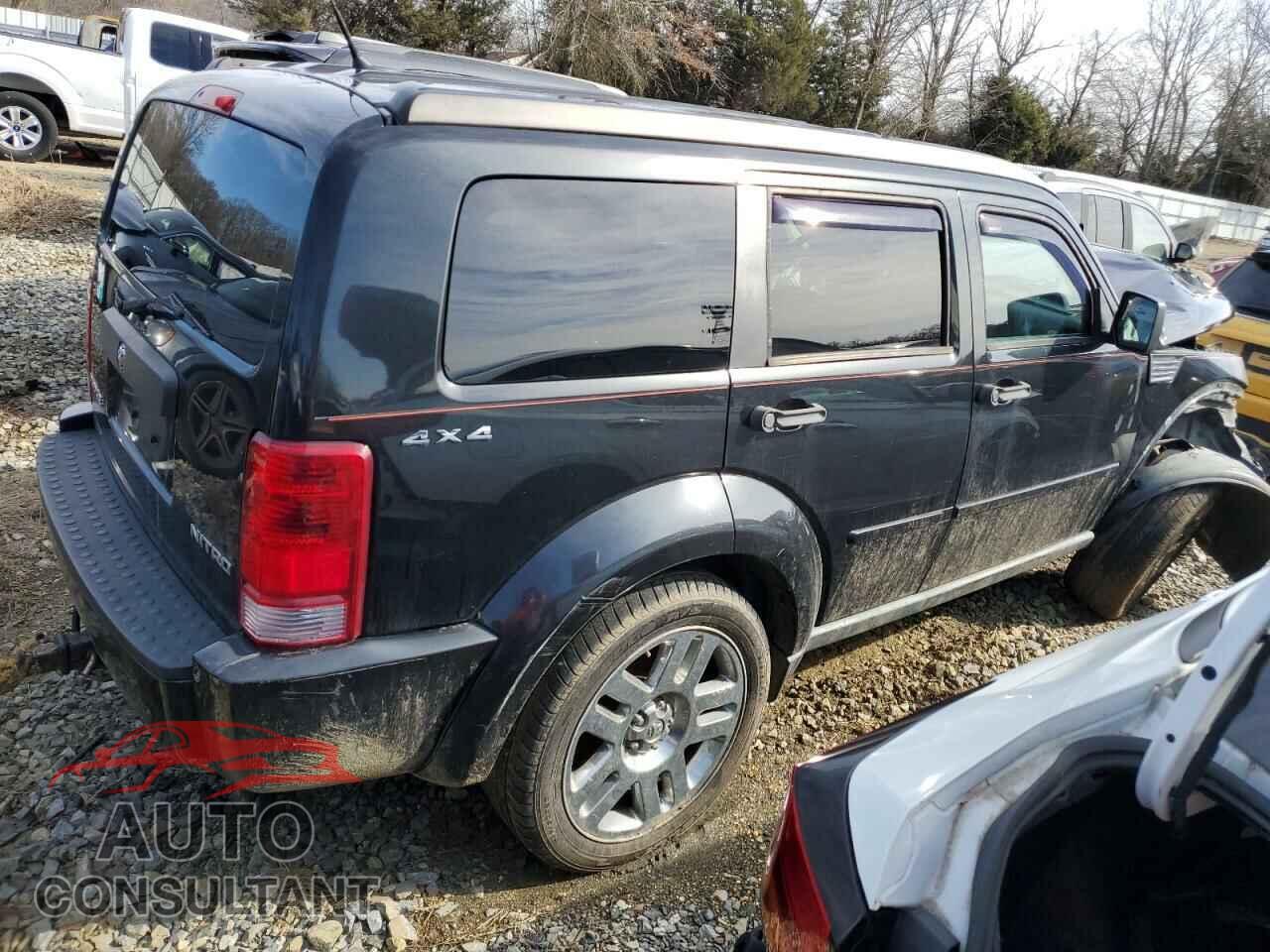 DODGE NITRO 2011 - 1D4PU4GKXBW529413
