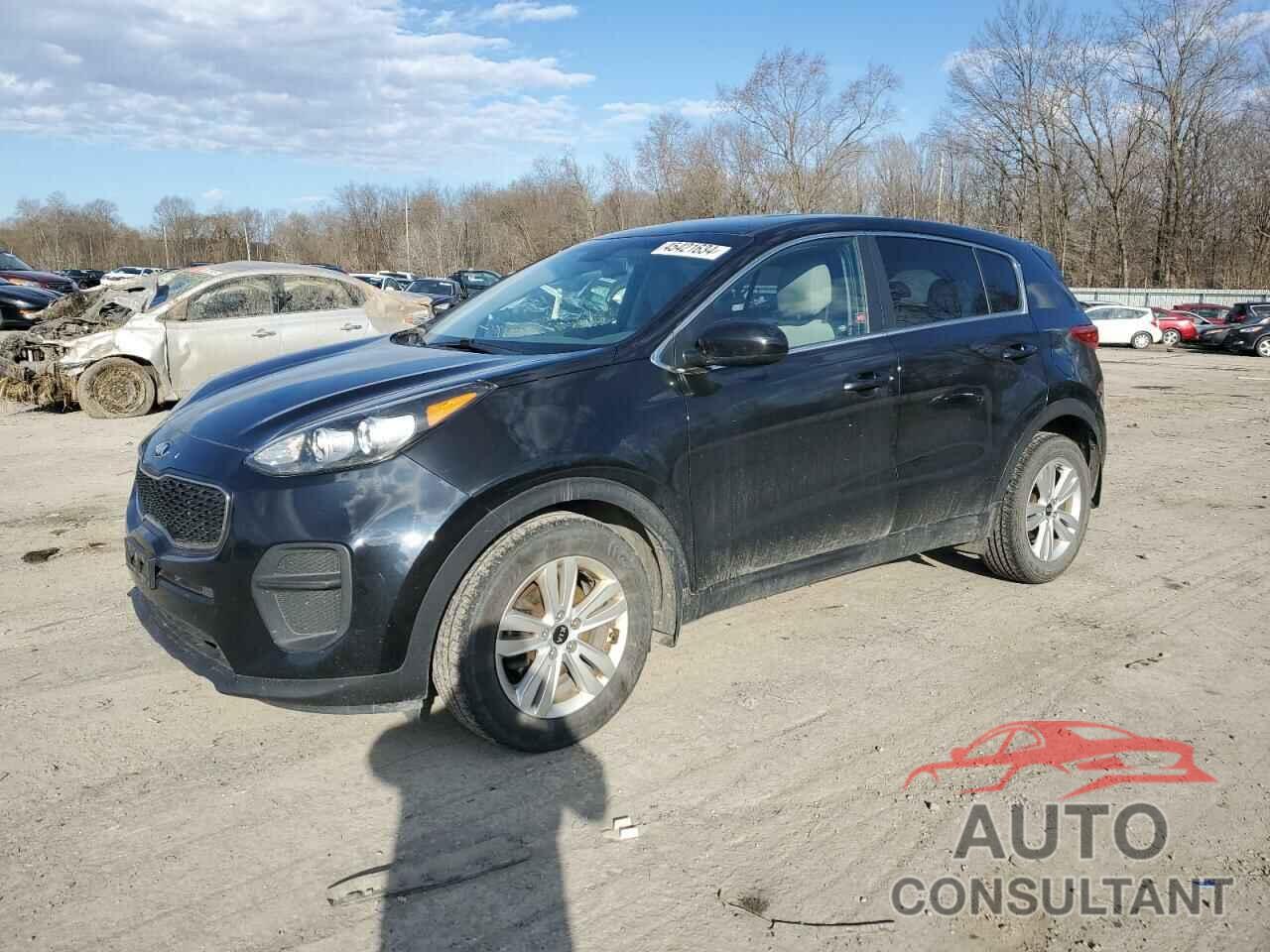 KIA SPORTAGE 2017 - KNDPM3AC7H7136609