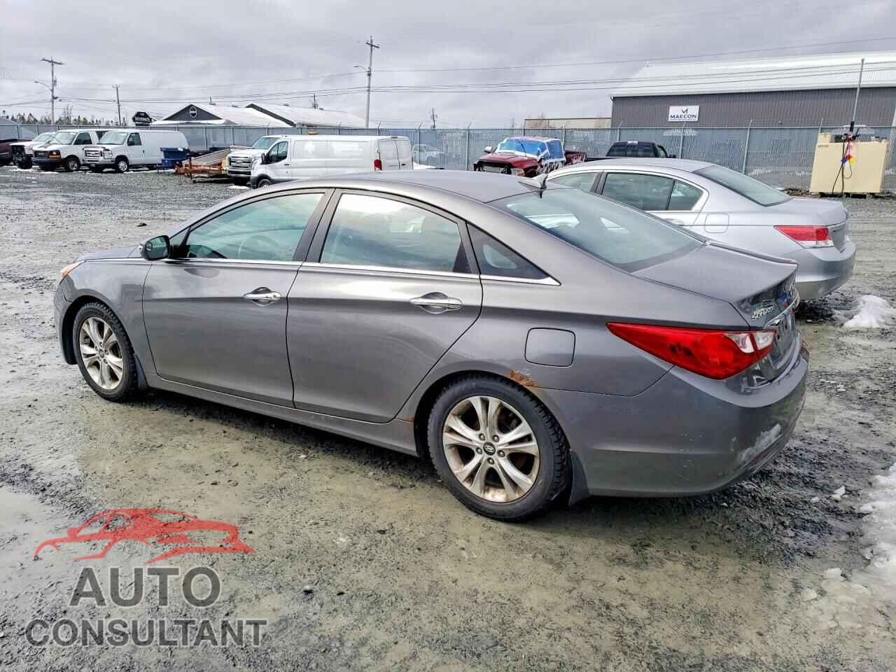 HYUNDAI SONATA 2011 - 5NPEC4AC3BH032802