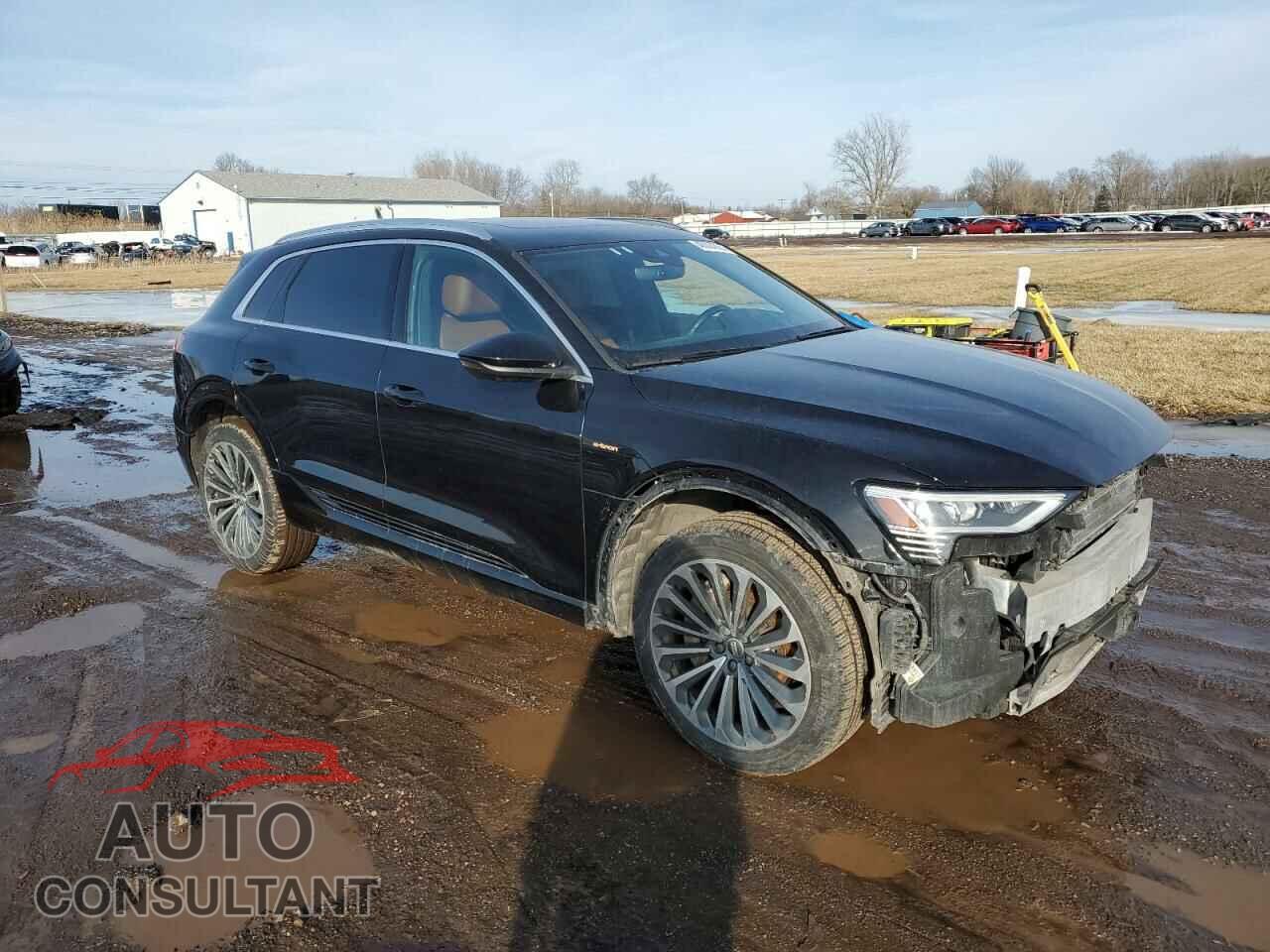 AUDI E-TRON 2019 - WA1VAAGE5KB005402