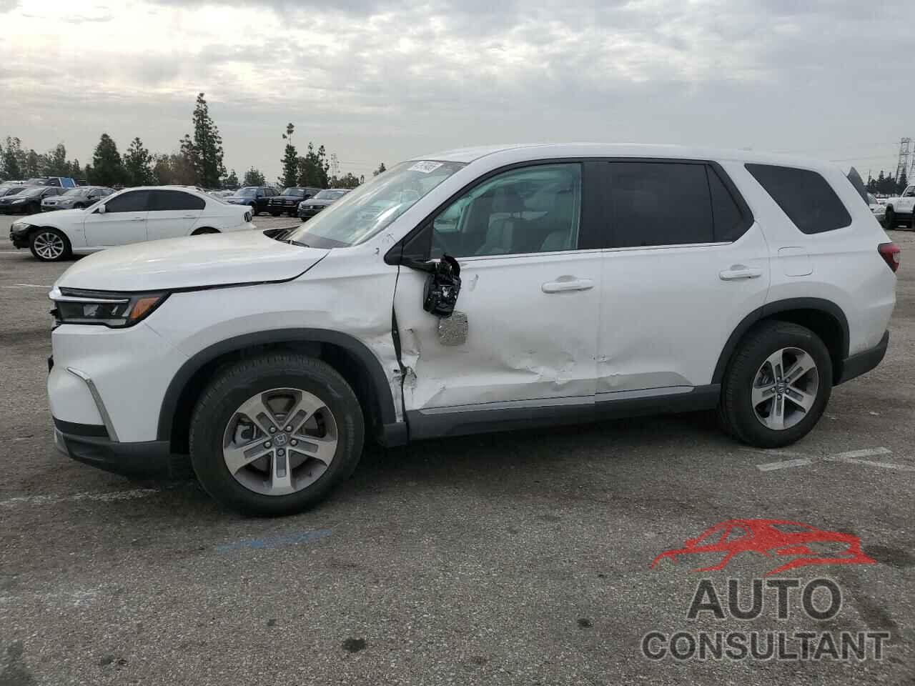HONDA PILOT 2024 - 5FNYG2H42RB015857