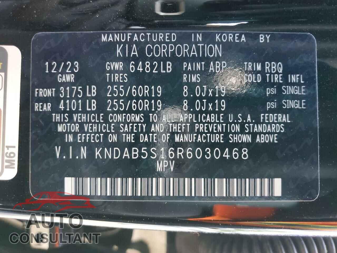 KIA EV9 LIGHT 2024 - KNDAB5S16R6030468