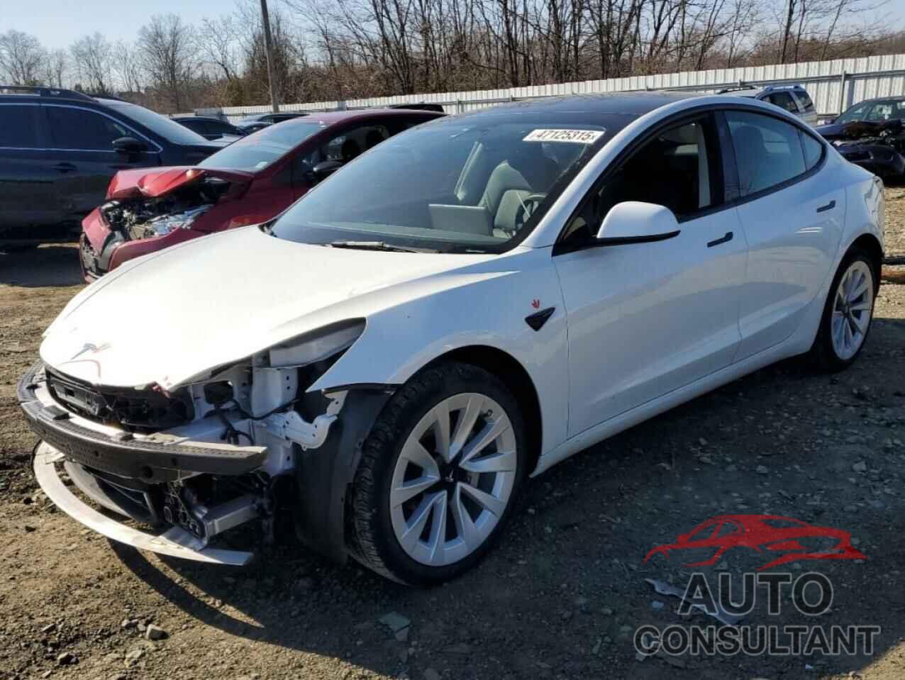 TESLA MODEL 3 2023 - 5YJ3E1EA1PF448362