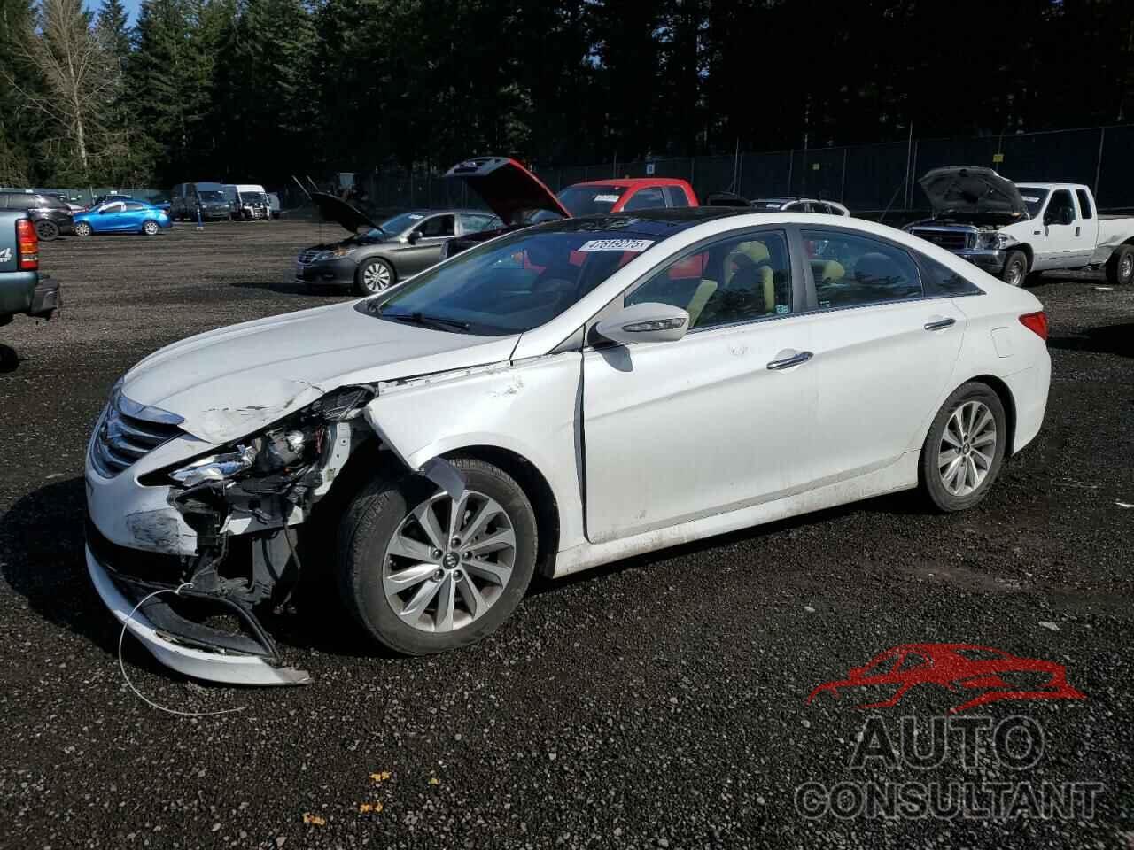 HYUNDAI SONATA 2014 - 5NPEC4AC1EH871917