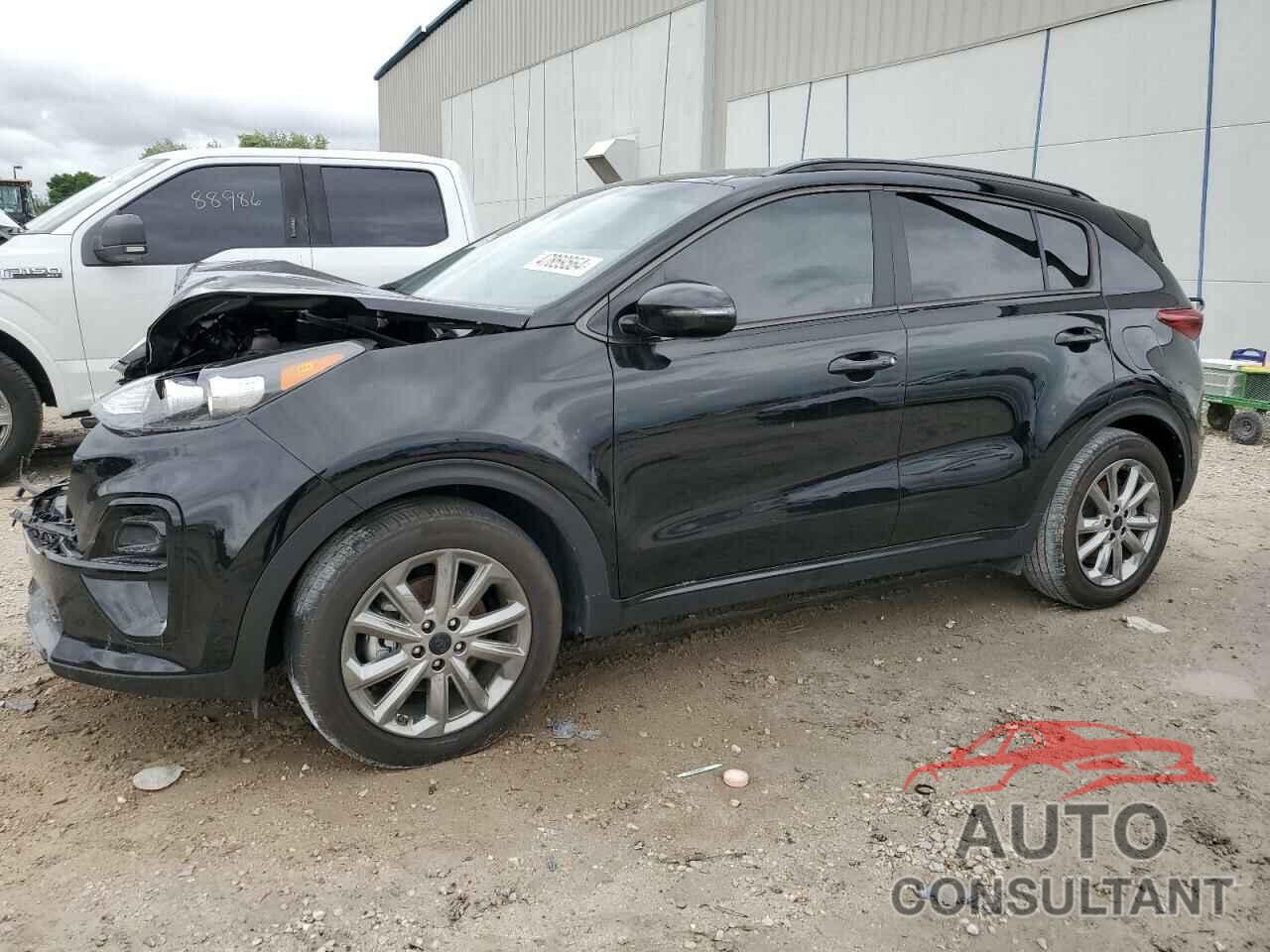 KIA SPORTAGE 2022 - KNDP63AC5N7017043