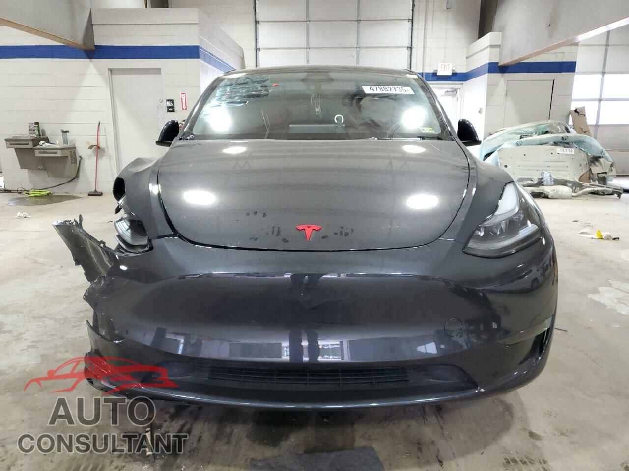 TESLA MODEL Y 2024 - 7SAYGDED1RF207273