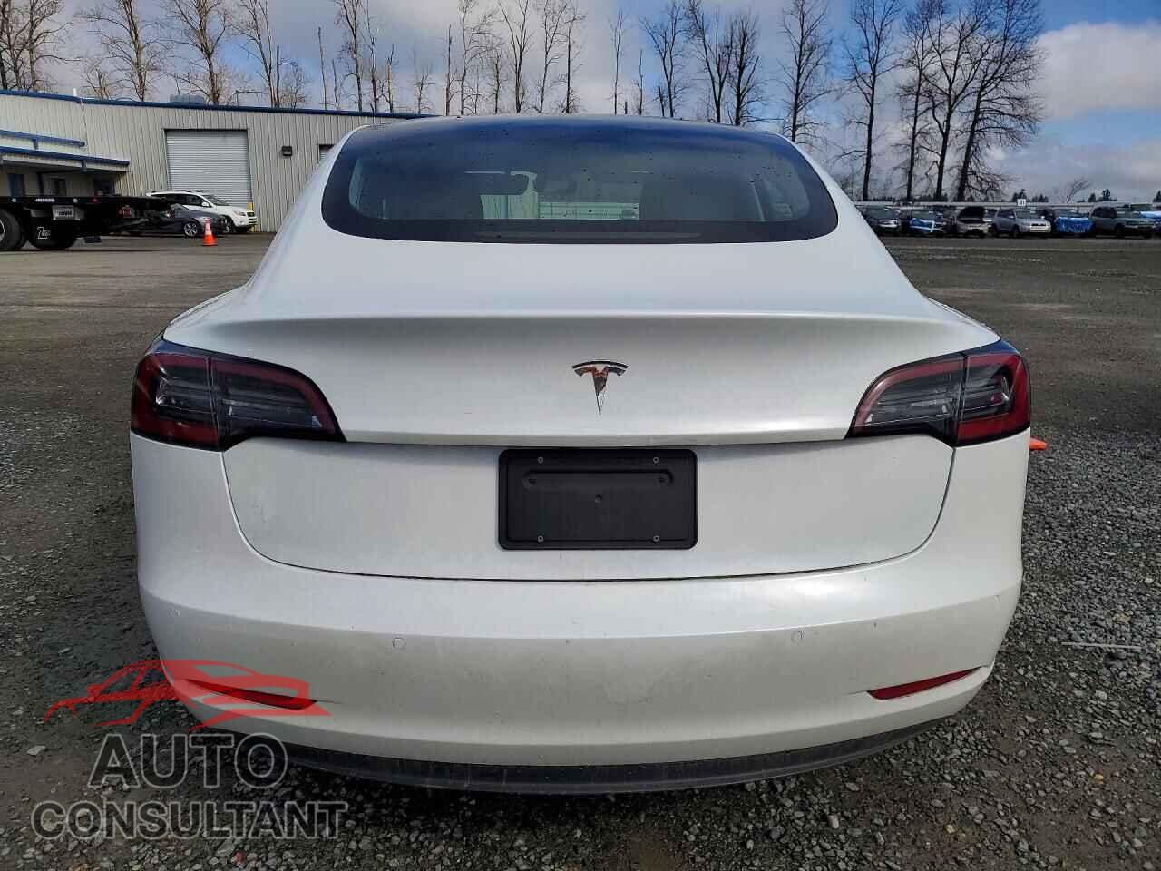 TESLA MODEL 3 2020 - 5YJ3E1EA8LF645054