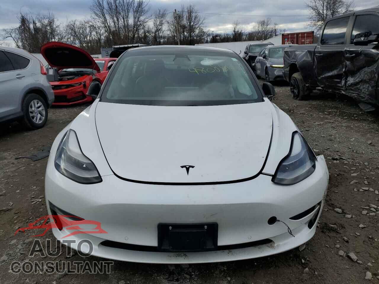 TESLA MODEL 3 2021 - 5YJ3E1EA5MF028051