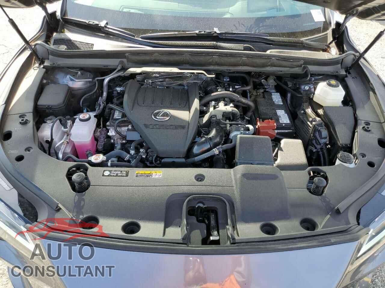 LEXUS RX350 2023 - 2T2BAMBAXPC018813