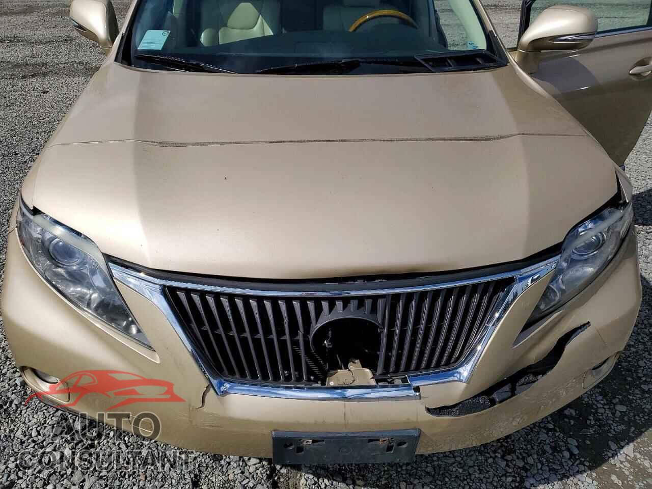 LEXUS RX350 2010 - 2T2BK1BA2AC056572
