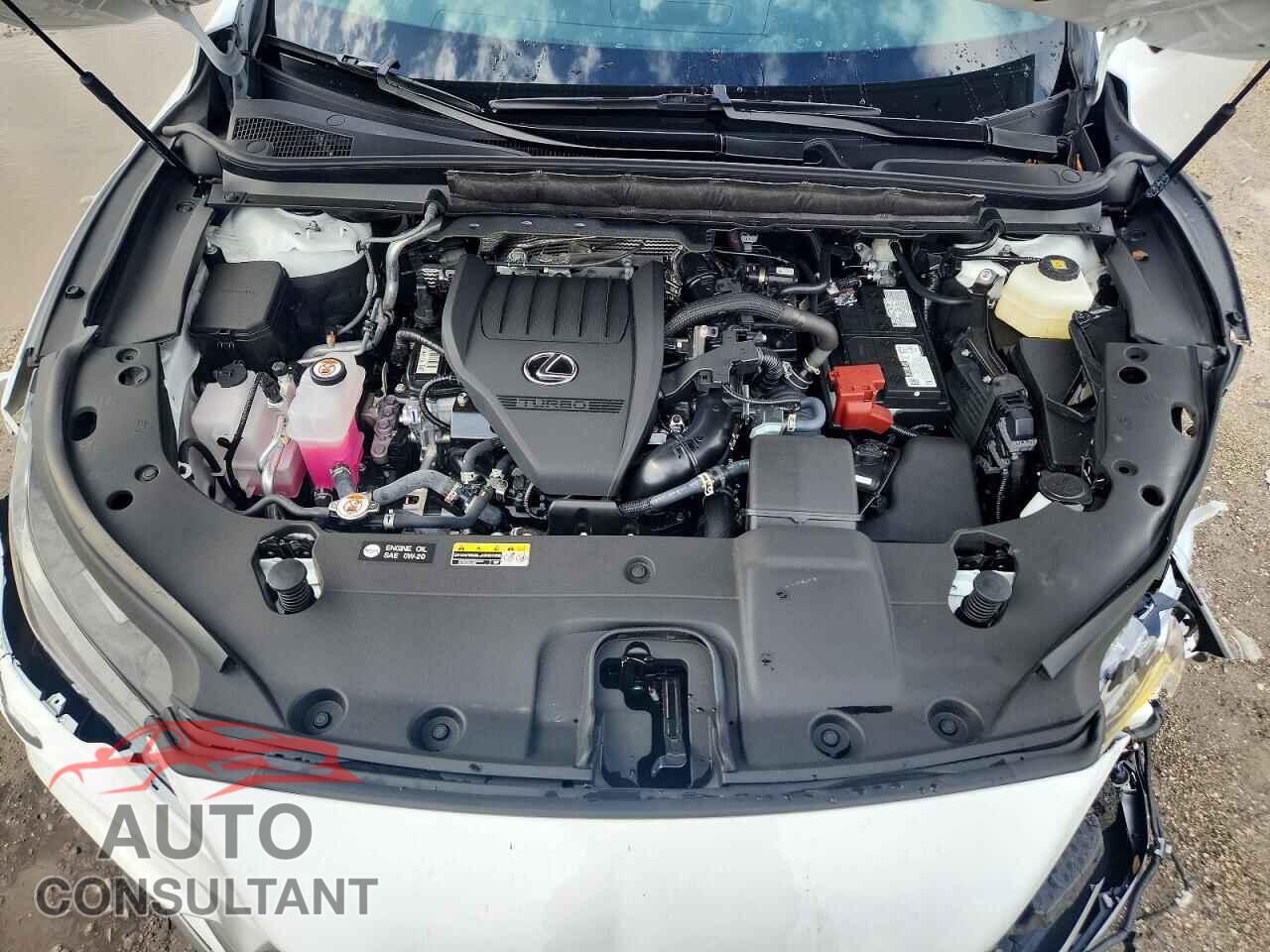 LEXUS RX350 2025 - 2T2BAMCA0SC120550
