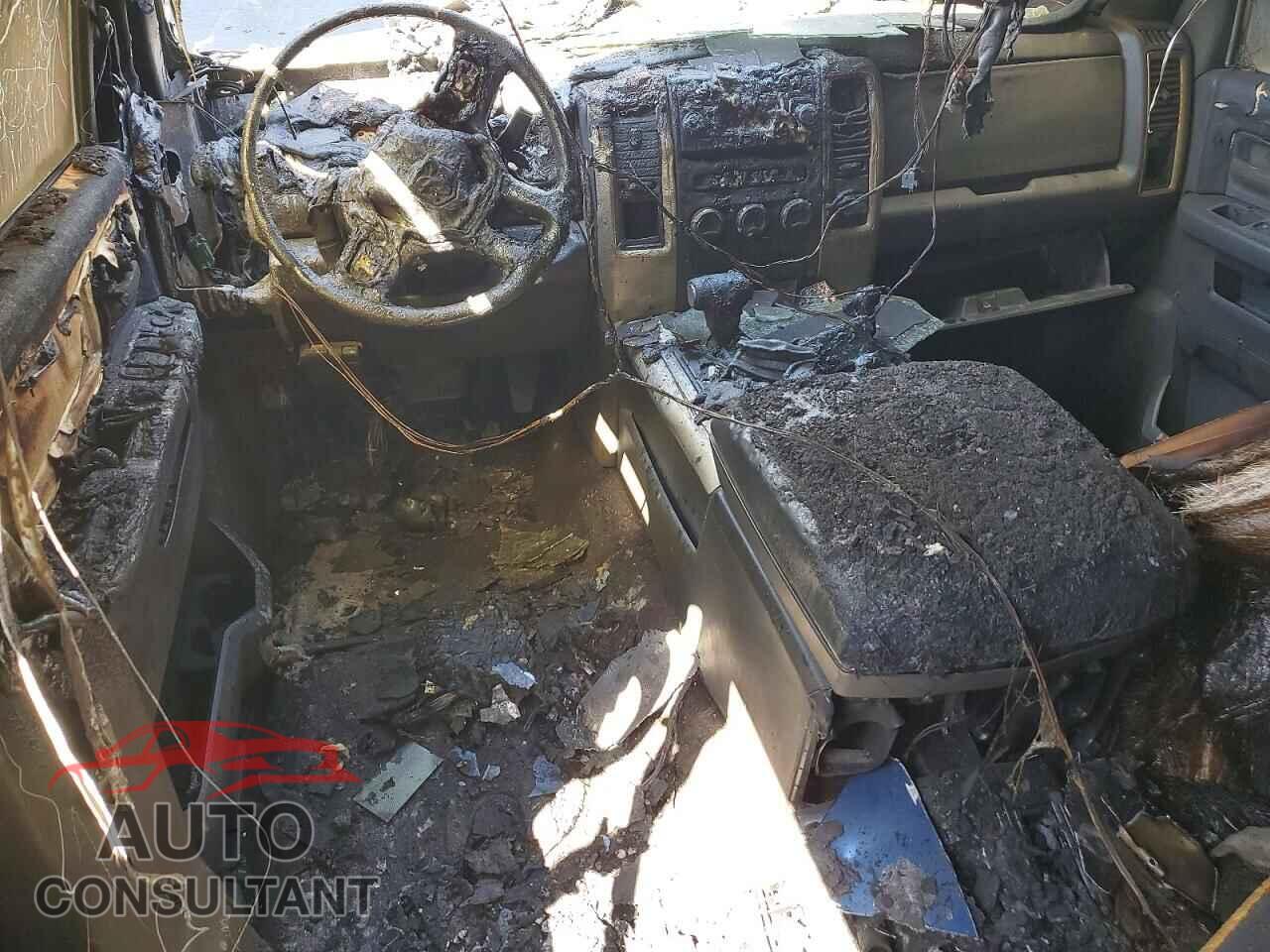 DODGE RAM 1500 2009 - 1D3HB13TX9S707401