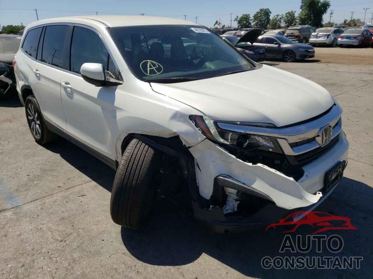 HONDA PILOT 2019 - 5FNYF5H33KB028280