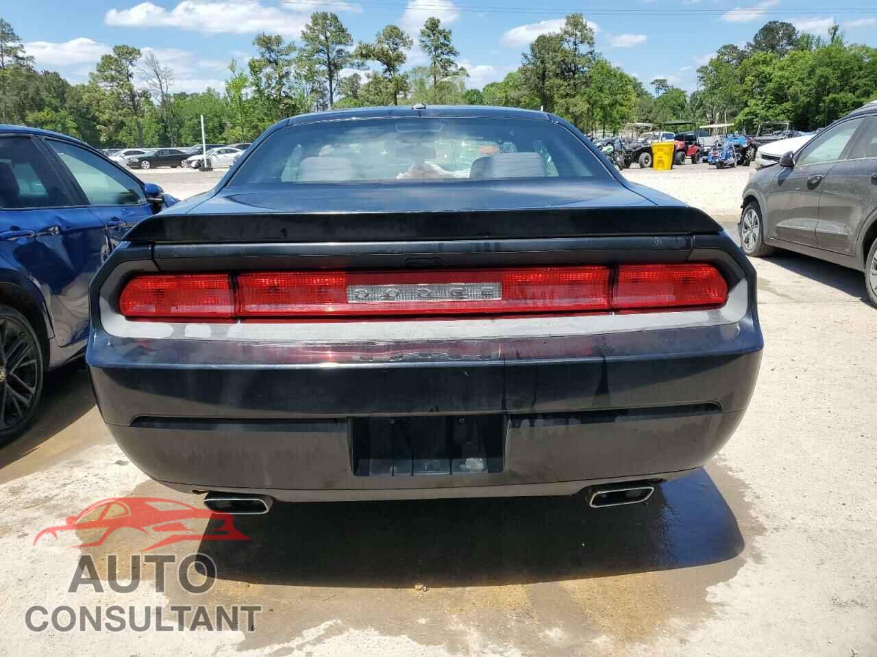 DODGE CHALLENGER 2014 - 2C3CDYAG6EH133512