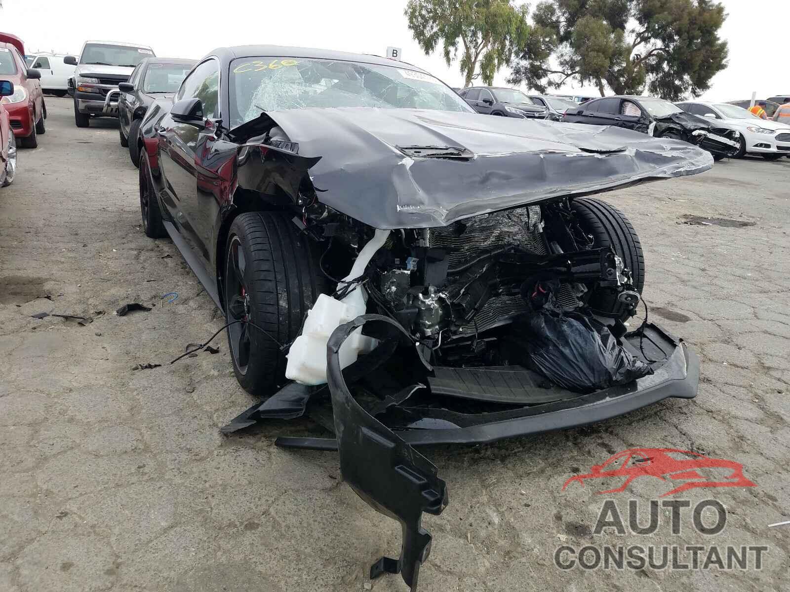 FORD MUSTANG 2019 - 1FA6P8K03K5505382